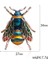 Kırmızı Stil Komik Renkli Arı Broş Kadın Parti Düğün Seçkin Böcek Papyon Broşlar Hediye (Yurt Dışından) 4