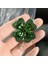 Yeşil Stil 12G Yaratıcı Pop Şık Kristal Pin Rozeti Komik Moda Takı - Türkiye E-Ticaret Başlığı (Yurt Dışından) 2