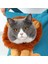Kedi Taşıma Çantası (Yurt Dışından) 2