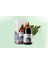 Organik Vital Yaban Mersini Içeceği 500 ml 1