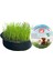 Hacı Yatmaz Küçük Ödül Maması Oyuncağı 6x9 cm + Sonrisa Pets Kedi Çimi 1 Adet 3