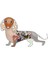 Mor Tarzı Kızlar Kadınlar Için Takılar Kolye Eşarp Dekorasyon Hediye Dachshund Köpek Broş Elmas Rhinestone Enamel Alaşım Hayvan Takı (Yurt Dışından) 3