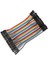 10CM 40 Pin Dişi Dişi Dupont Kablo 3