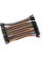 10CM 40 Pin Dişi Dişi Dupont Kablo 5