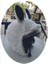 Açık Kask Kılıfı Laci Rabbit Kaskmanıa. 1