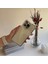 Lens Korumalı Parlak Şeffaf Silikon Apple iPhone 14 Pro Max Kılıf Gümüş 1