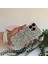 Parlak Taşlı Apple iPhone 14 Pro Max Kılıf Beyaz 1