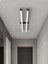 Modern LED Avize - Lineer LED Armatür Lineer Ikili -Linear Beyaz Işık 3