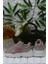 Cool Verom Pudra Bağcık Görünümlü Cırtlı Sneaker Çocuk Ayakkabı 4