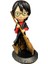 Harry Potter Serisi, Harry Potter Biblo 1