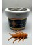 Renatbaits Peynir (Cheese) Kokulu Yüzen Silikon Taş Böceği Alabalık Yemi (10 Adet) 1