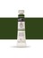 Yağlı Boya Profesyonel Sap Green (711) 50ML Tüp (Seri A) 1