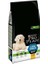 Robust Puppy Large Tavuklu Yavru Köpek Maması 12 kg 1