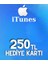 App Store & Itunes Hediye Kartı 250 Tl 1