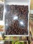 Mebrum Hurma Duble 5kg 1