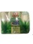 Tarım Kredi Kooperatifleri Elit Güzellik Sabunu Aloe Vera (4 x 70 Gr.) 1