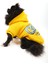 Cool Yellow Sweatshirt 1