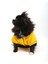 Cool Yellow Sweatshirt 3