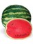 Karpuz Tohumu Crimson Sweet 1 gr Tohum Aksaray Tohumculuk 1