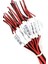 5-24V Mini Dimmer Animasyon Devresi 2