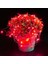 2 Metre Kırmızı LED Işık Kırmızı Yılbaşı Ağacı Işığı Noel Işığı Kırmızı Pilli LED Işık Red LED Light 5