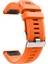 Garmin Fenix ​​5 Için (Yurt Dışından) 1