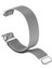 Garmin Forerunner 35/30 Milanese Kordonlu Saat Için (Yurt Dışından) 4