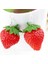 Kırmızı Stil Kadınlar Için Kıyafet Takıları Kırmızı Çilek Düşen Küpe Sevimli Canlı Mücevher Tasarımı (Yurt Dışından) 4