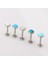 Gümüş Tarzı OP17 10MM/4MM 1 Adet Opal Dudak Barı Labret Halka Içten Vidalar Kulak Tragus Kıkırdak Iğne Delme (Yurt Dışından) 4