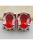 Garnet Gümüş Taşlı Küpe PE01 (Yurt Dışından) 2