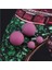 Pembe Tarzı Yeni Maxi Çift Taraflı Büyük Top Inci Küpe Basit Stil Şeker Renk Kauçuk Toka Küpe Kadın Aksesuarları Bijoux (Yurt Dışından) 3