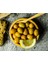 Edremit Çizik Zeytin 1 kg 1