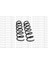 15020328 Helezon Yayı Arka (Sağ Sol) P406 1.8 16V 2.0 16V 2.0hdı 96- 5102.C4 1