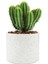 Modern ve Şık Terrazzo Desenli Saksı - 18,5X15,5 cm 5
