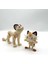 #0052 Meowth Pokemon Gelişim Seti 1