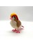 #0016 Pidgey Pokemon Gelişim Seti 3