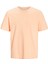 Jack & Jones Erkek Bisiklet Yaka Basic Tisört - Organic 5