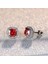 Kırmızı Stil 925 Ayar Gümüş 7mm Prenses Kare Kesim Safir Topaz Ametist Zümrüt Puset Küpe Doğum Taşı Kristal Pençe Küpe Vida Geri Küpe (Yurt Dışından) 1