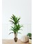 Yapay Ağaç Yucca 3lü 170 cm 2