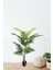 Yapay Ağaç Areka 150 cm 2
