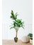 Yapay Ağaç Yucca 180 cm 1