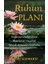 Ruhun Planı - Robert Schwartz 1