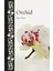Orchid - Dan Torre 1