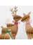 - Honeycomb Reindeer Family - Rengeyiği Ailesi Dekorlar (3'lü) 5