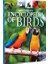 Children's Encyclopedia Of Birds - Claudia Martin 1