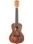 Guidance Mahogany Concert Ukulele 1