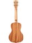 Guidance Mahogany Concert Ukulele 3