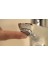 Focus Tek Kollu Lavabo Bataryası Krom 4