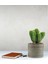 Beton Görünümlü Minimalist Dekoratif Saksı - Doğal ve Modern Tasarım 6