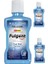 Mouthwash Fulgent Multı Care Mouthwash Alkolsüz Ağız Bakım Suyu 500 ml 1